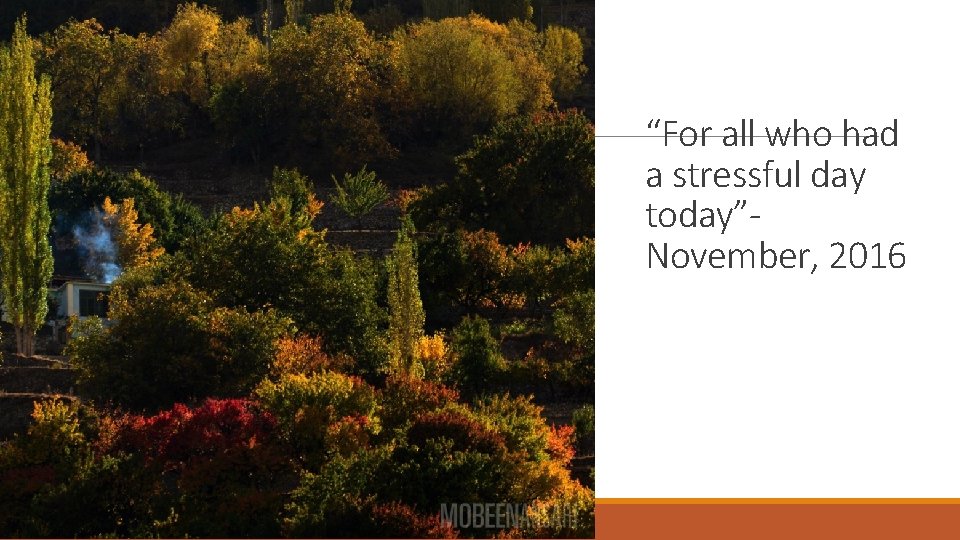 “For all who had a stressful day today”November, 2016 