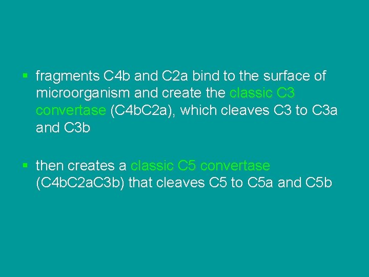 § fragments C 4 b and C 2 a bind to the surface of