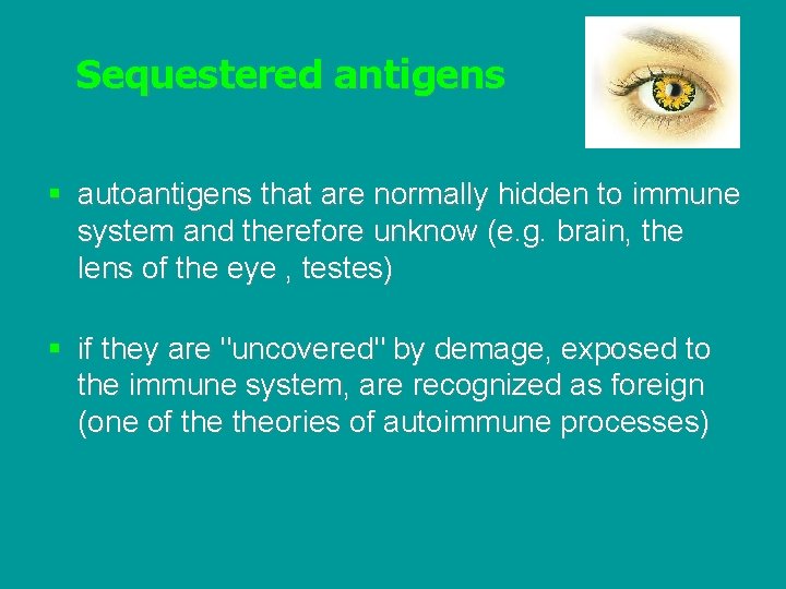 Sequestered antigens § autoantigens that are normally hidden to immune system and therefore unknow