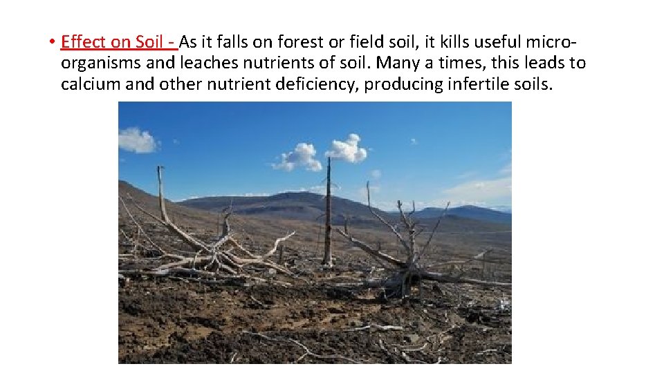  • Effect on Soil - As it falls on forest or field soil,