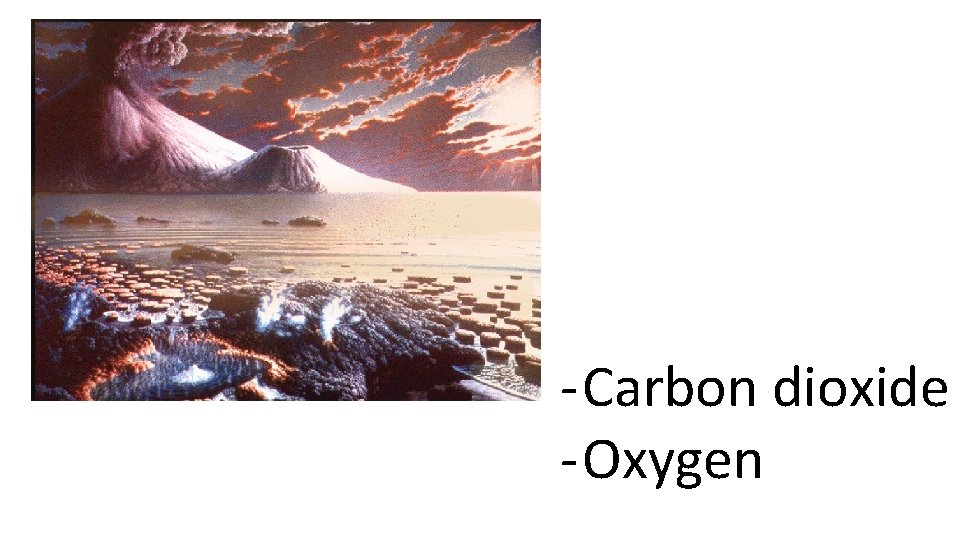 - Carbon dioxide - Oxygen 