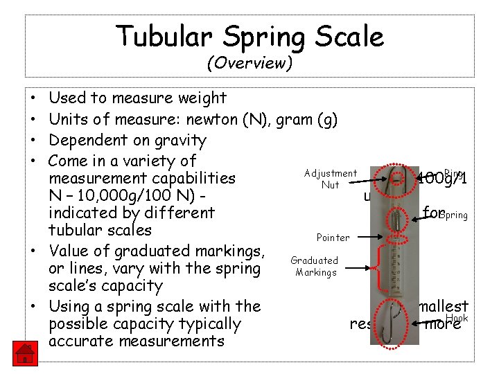 Tubular Spring Scale (Overview) • • Used to measure weight Units of measure: newton