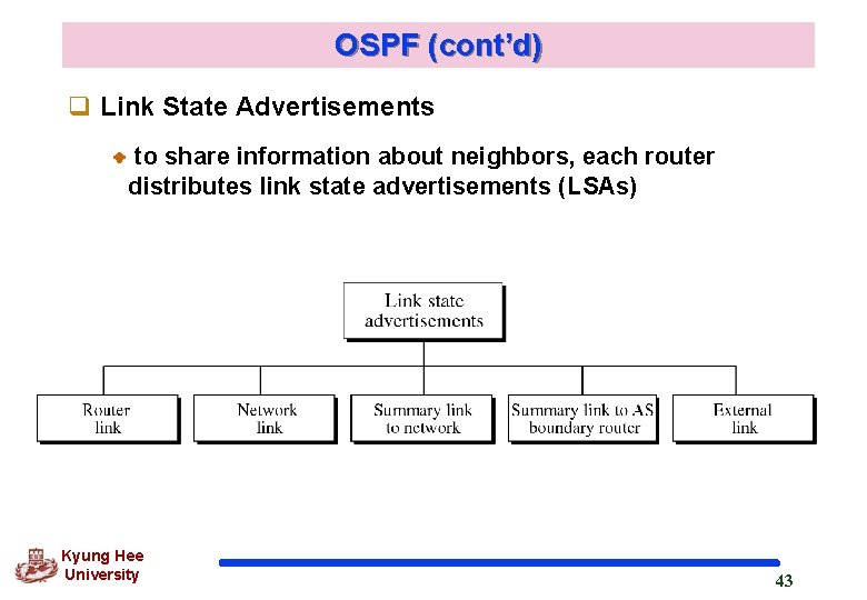 OSPF (cont’d) q Link State Advertisements to share information about neighbors, each router distributes