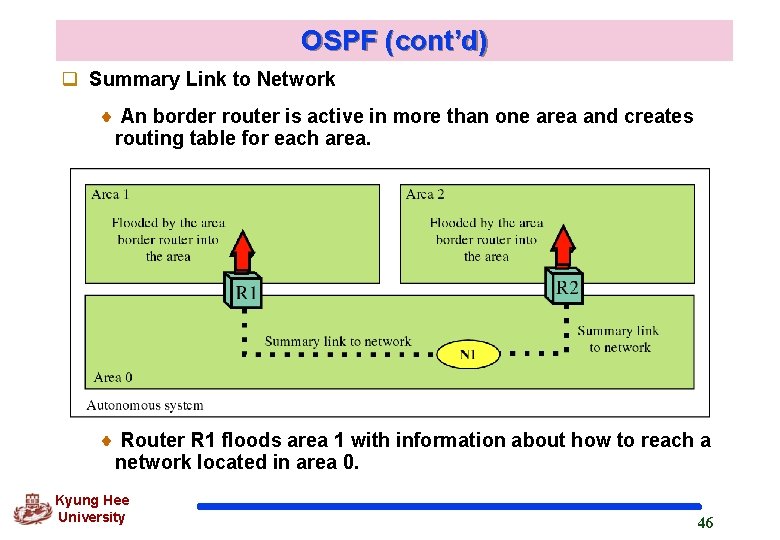 OSPF (cont’d) q Summary Link to Network An border router is active in more