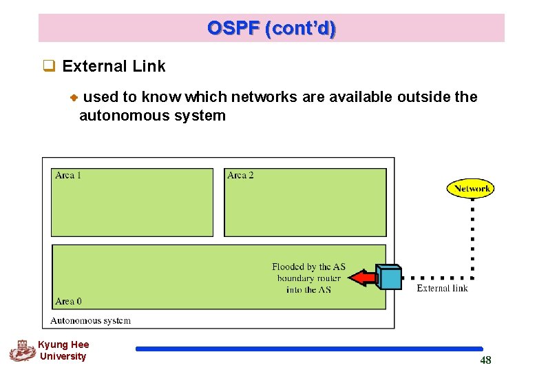 OSPF (cont’d) q External Link used to know which networks are available outside the