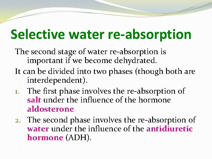 Selective water re-absorption The second stage of water re-absorption is important if we become
