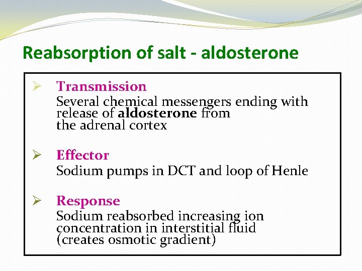 Reabsorption of salt - aldosterone Ø Transmission Several chemical messengers ending with release of