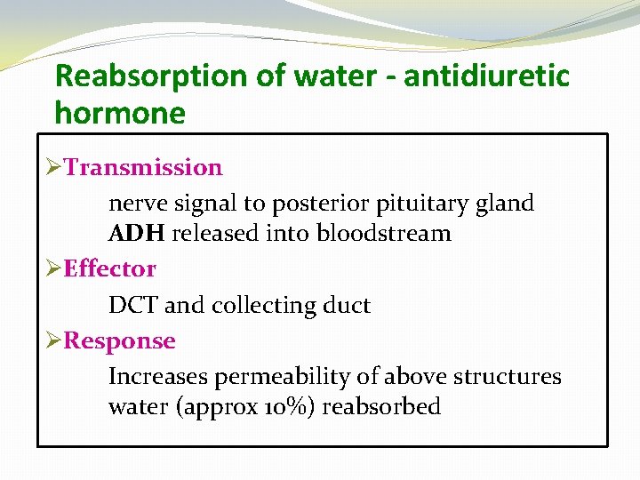 Reabsorption of water - antidiuretic hormone ØTransmission nerve signal to posterior pituitary gland ADH