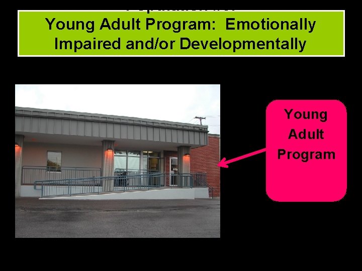 Population #3: Young Adult Program: Emotionally Impaired and/or Developmentally Disabled Clients. Young Adult Program