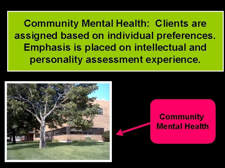 Community Mental Health: Clients are assigned based on individual preferences. Emphasis is placed on