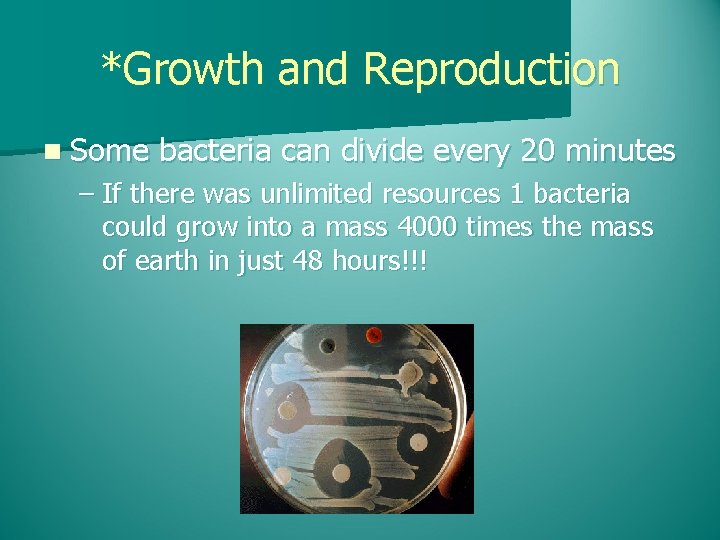 *Growth and Reproduction n Some bacteria can divide every 20 minutes – If there