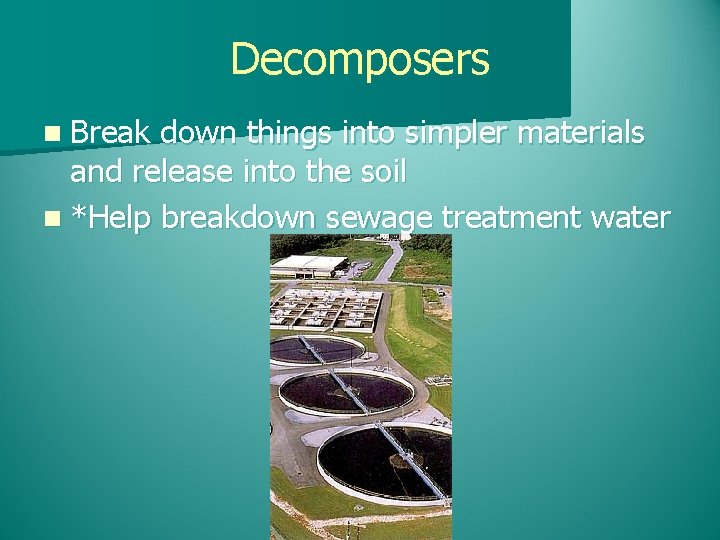 Decomposers n Break down things into simpler materials and release into the soil n