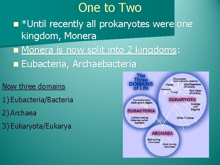 One to Two n *Until recently all prokaryotes were one kingdom, Monera n Monera
