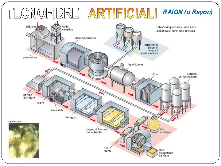 RAION (o Rayon) 