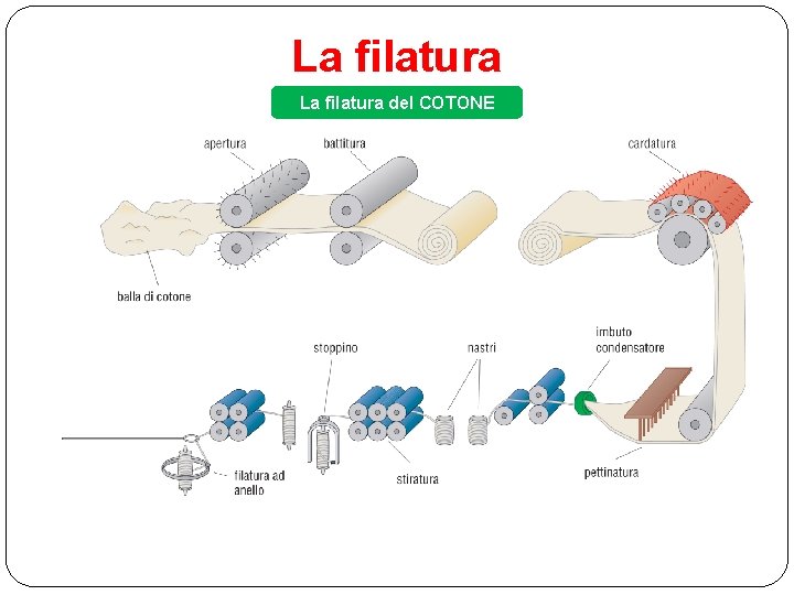 La filatura del COTONE 