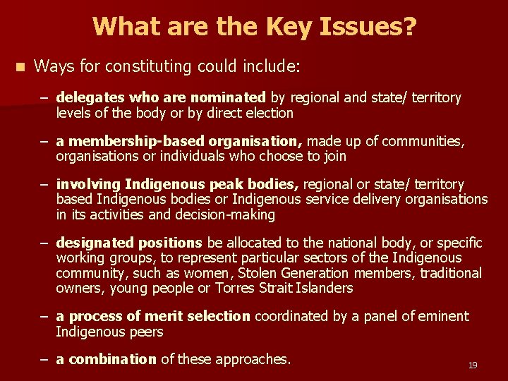 What are the Key Issues? n Ways for constituting could include: – delegates who
