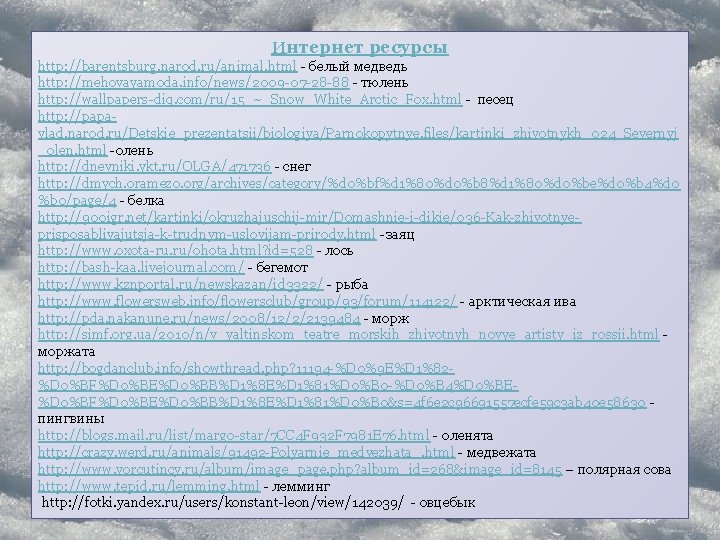 Интернет ресурсы http: //barentsburg. narod. ru/animal. html - белый медведь http: //mehovayamoda. info/news/2009 -07