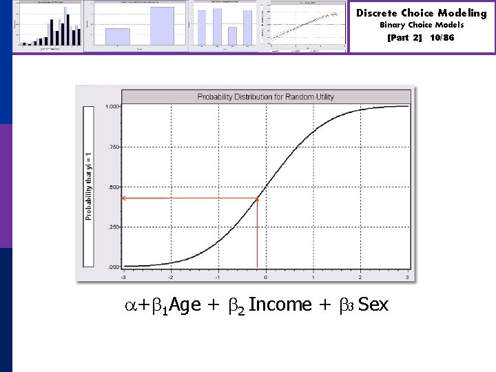 Discrete Choice Modeling Binary Choice Models [Part 2] + 1 Age + 2 Income