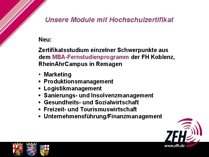 Unsere Module mit Hochschulzertifikat Neu: Zertifikatsstudium einzelner Schwerpunkte aus dem MBA-Fernstudienprogramm der FH Koblenz,