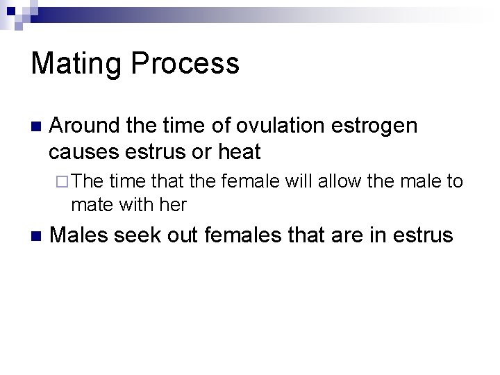 Mating Process n Around the time of ovulation estrogen causes estrus or heat ¨