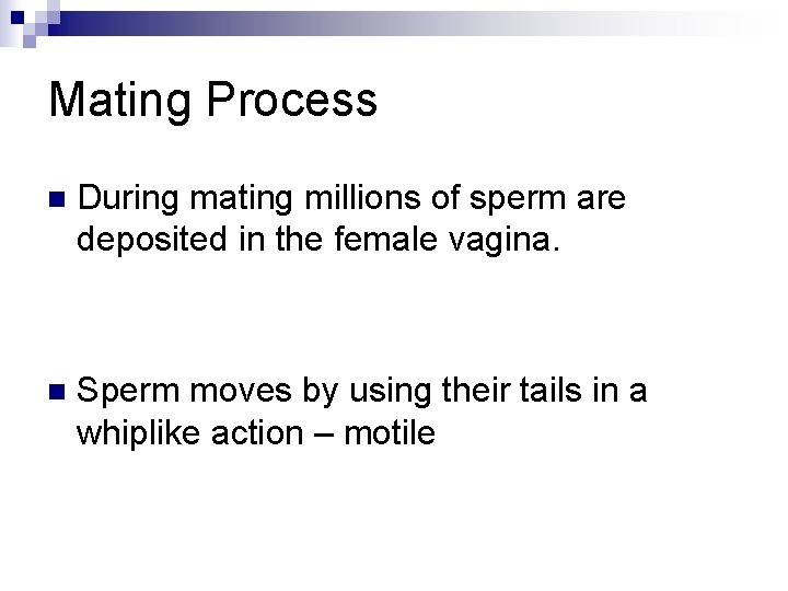 Mating Process n During mating millions of sperm are deposited in the female vagina.