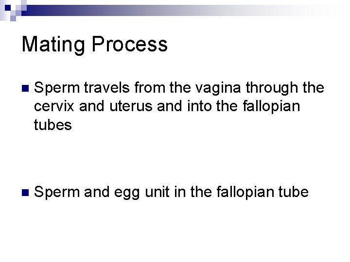 Mating Process n Sperm travels from the vagina through the cervix and uterus and