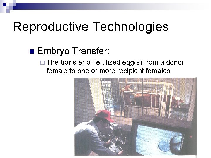 Reproductive Technologies n Embryo Transfer: ¨ The transfer of fertilized egg(s) from a donor