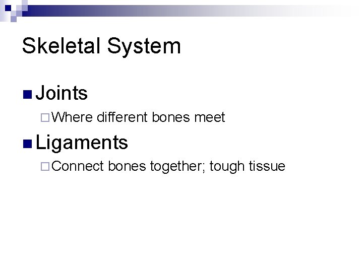 Skeletal System n Joints ¨ Where different bones meet n Ligaments ¨ Connect bones