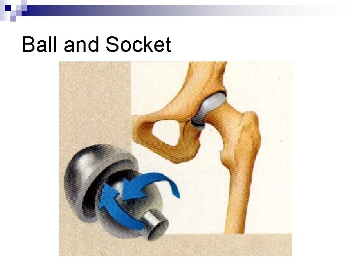 Ball and Socket 