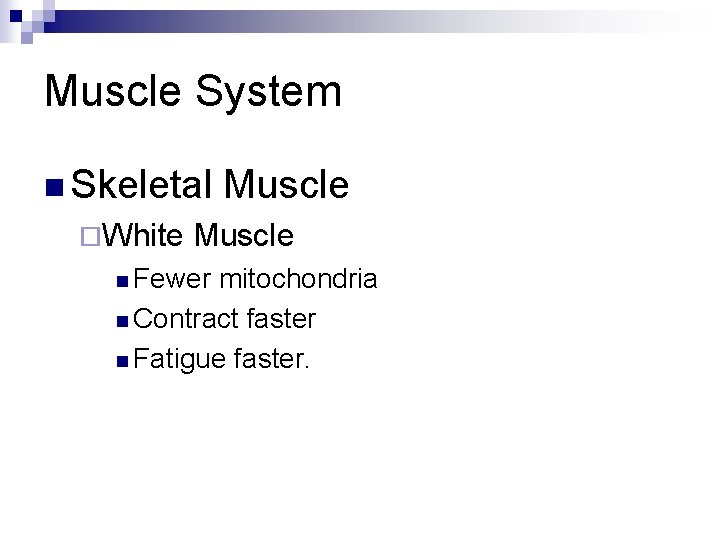 Muscle System n Skeletal ¨White Muscle n Fewer mitochondria n Contract faster n Fatigue
