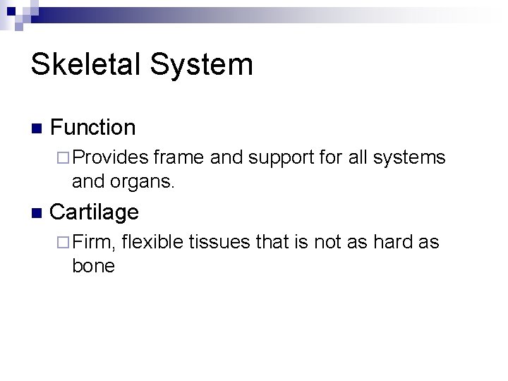 Skeletal System n Function ¨ Provides frame and support for all systems and organs.