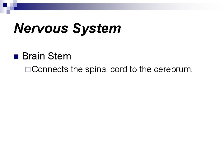 Nervous System n Brain Stem ¨ Connects the spinal cord to the cerebrum. 