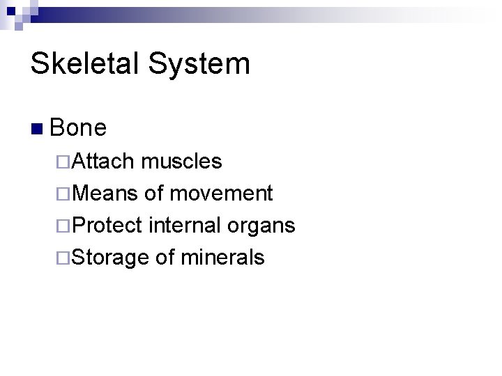 Skeletal System n Bone ¨Attach muscles ¨Means of movement ¨Protect internal organs ¨Storage of