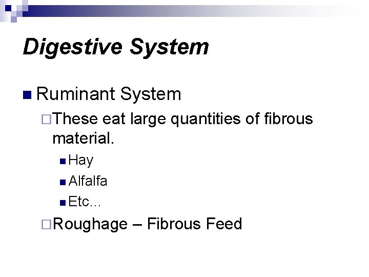 Digestive System n Ruminant System ¨These eat large quantities of fibrous material. n Hay