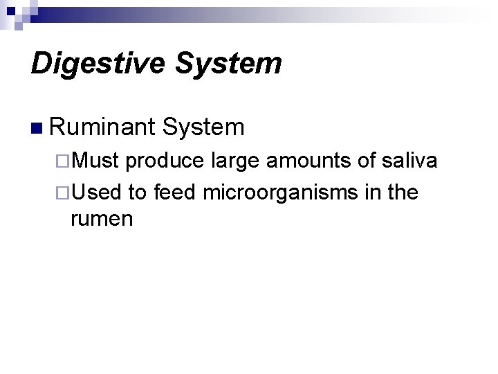 Digestive System n Ruminant ¨Must System produce large amounts of saliva ¨Used to feed