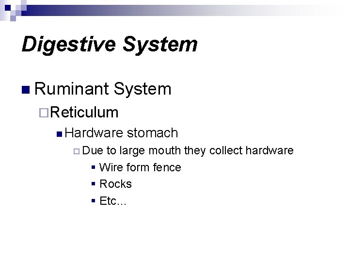 Digestive System n Ruminant System ¨Reticulum n Hardware ¨ Due stomach to large mouth