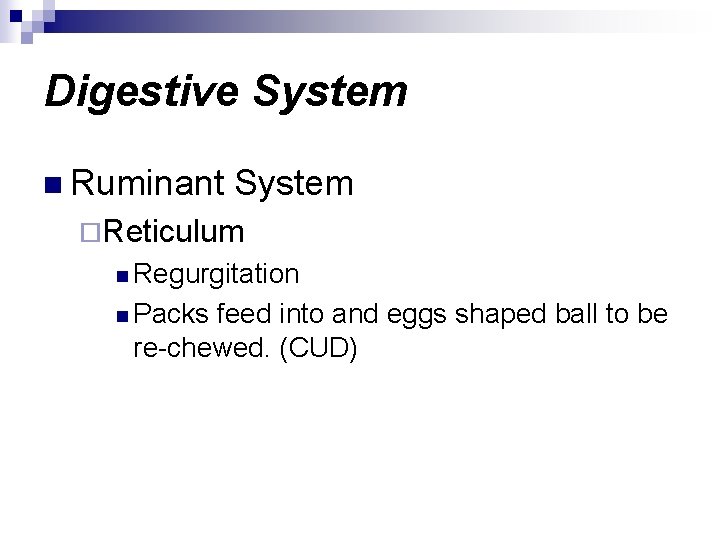 Digestive System n Ruminant System ¨Reticulum n Regurgitation n Packs feed into and eggs