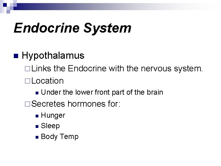 Endocrine System n Hypothalamus ¨ Links the Endocrine with the nervous system. ¨ Location