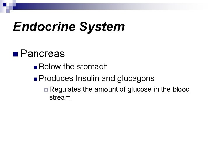 Endocrine System n Pancreas n Below the stomach n Produces Insulin and glucagons ¨