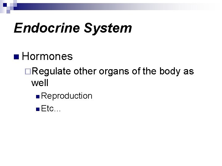 Endocrine System n Hormones ¨Regulate other organs of the body as well n Reproduction