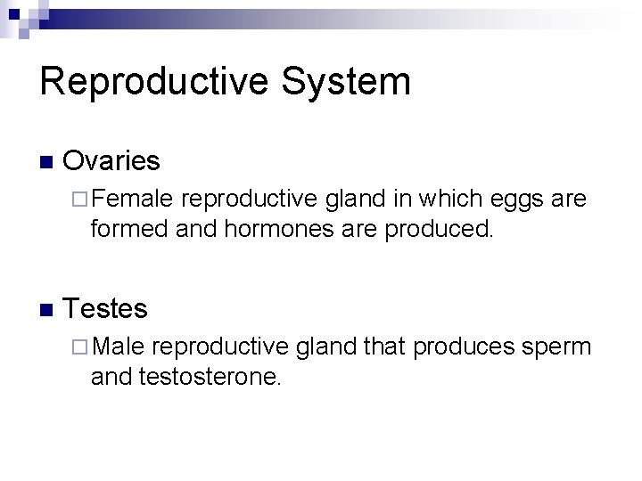 Reproductive System n Ovaries ¨ Female reproductive gland in which eggs are formed and