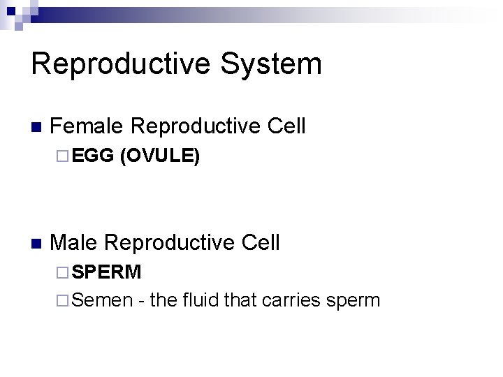 Reproductive System n Female Reproductive Cell ¨ EGG n (OVULE) Male Reproductive Cell ¨
