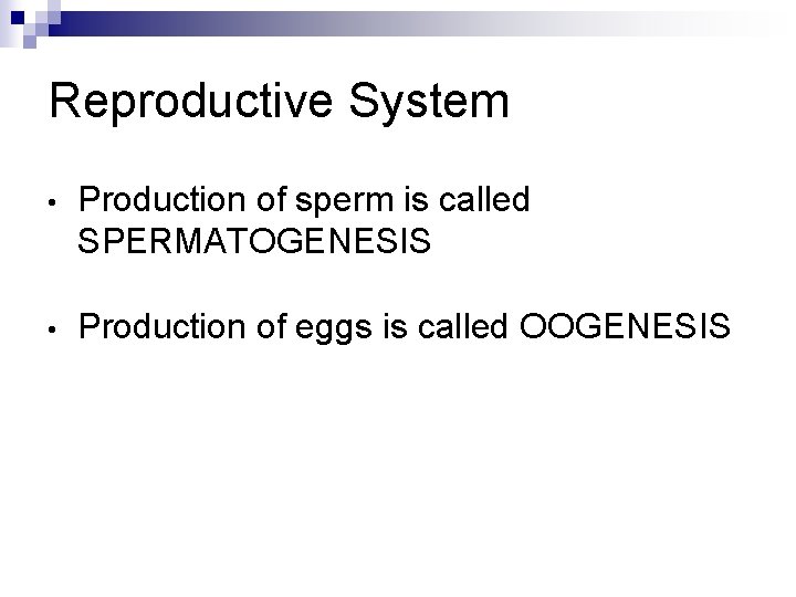 Reproductive System • Production of sperm is called SPERMATOGENESIS • Production of eggs is