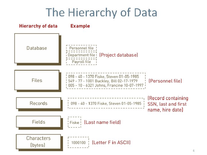 The Hierarchy of Data 4 The Hierarchy of Data 4