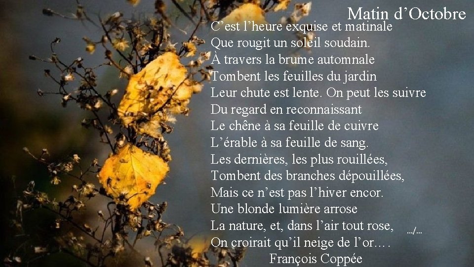 Matin d’Octobre C’est l’heure exquise et matinale Que rougit un soleil soudain. À travers