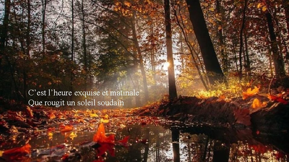 C’est l’heure exquise et matinale Que rougit un soleil soudain 