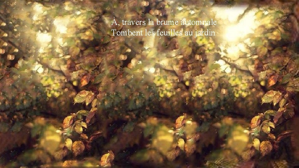 À, travers la brume automnale Tombent les feuilles au jardin C’est l’heure exquise et