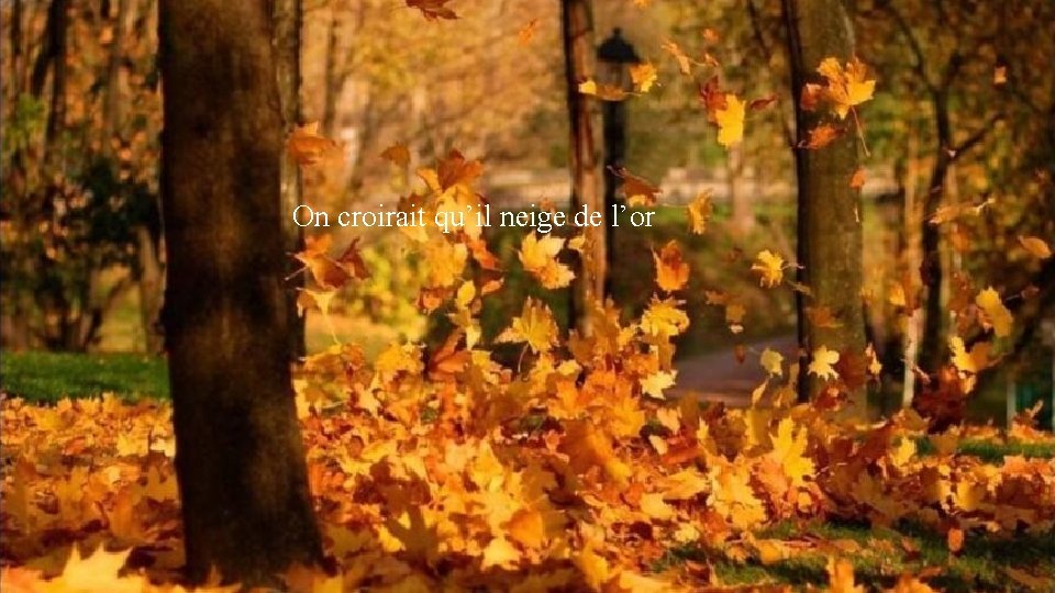On croirait qu’il neige de l’or Une blonde lumière arrose La nature, et, dans