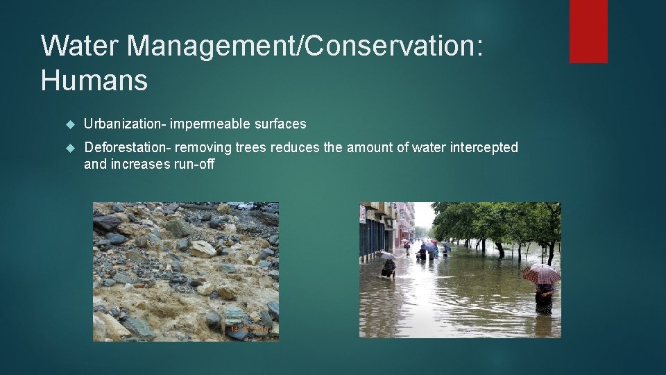 Water Management/Conservation: Humans Urbanization- impermeable surfaces Deforestation- removing trees reduces the amount of water