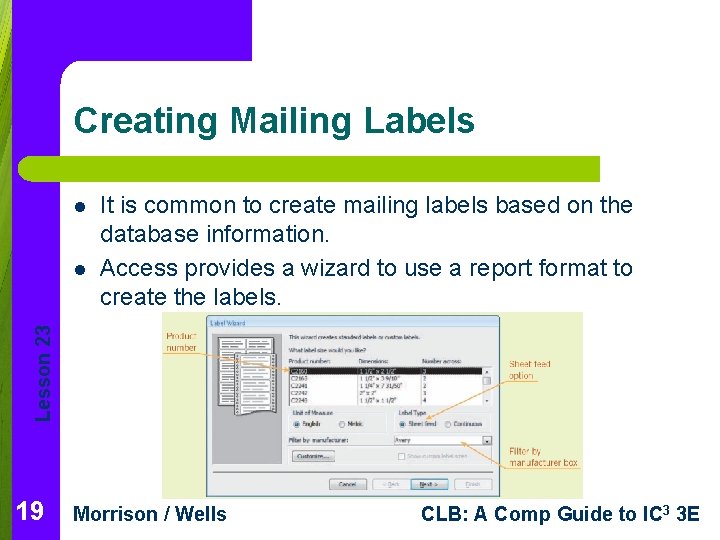 Creating Mailing Labels l Lesson 23 l It is common to create mailing labels